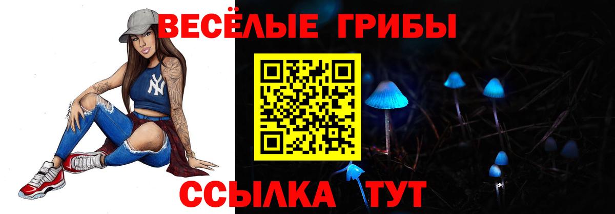Псилоцибиновые грибы Psilocybine cubensis  Вход с VPN  купить наркоту  Псилоцибиновые грибы мухоморы  Тайшет 